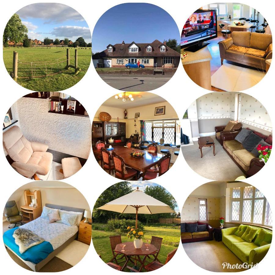 Amazing Quiet Garden House Near London Luton Airport Homestay