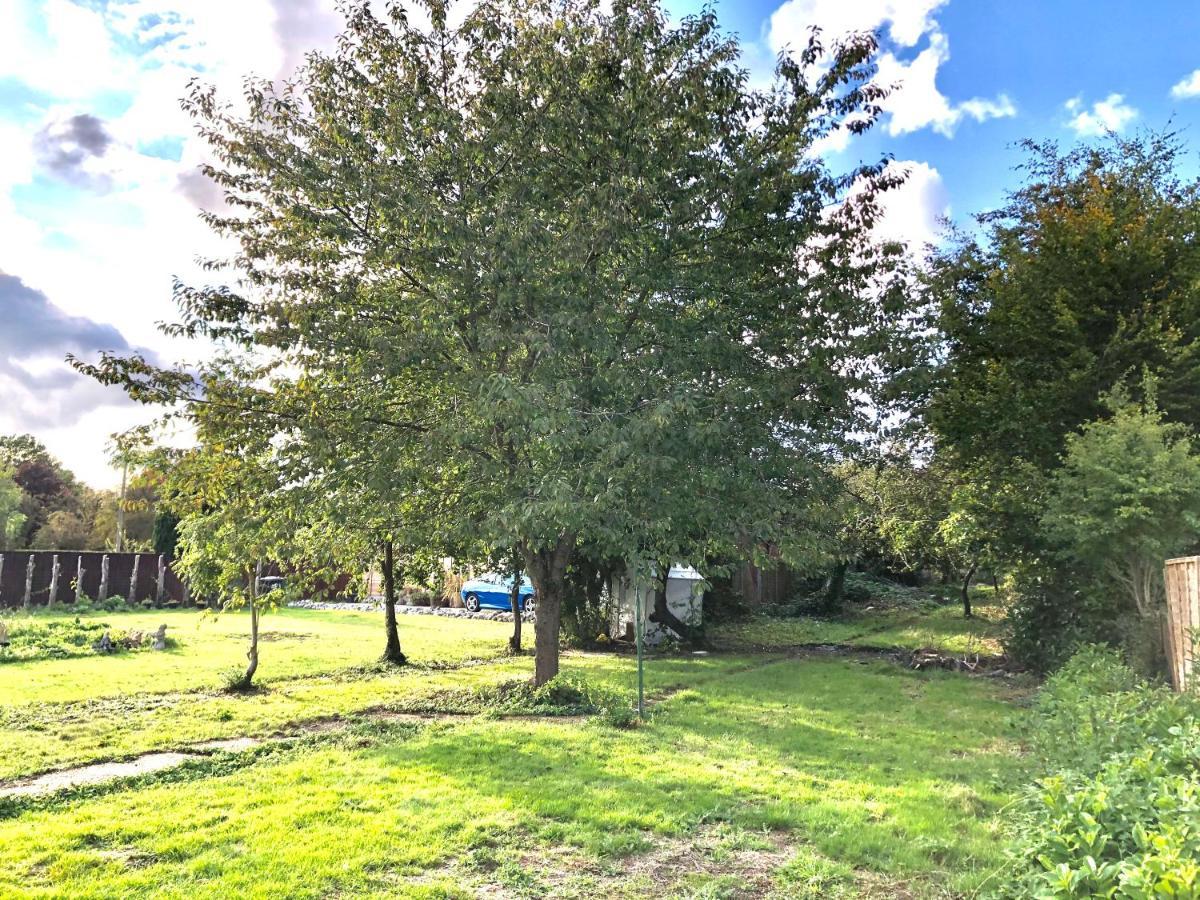 Homestay Amazing Quiet Garden House Near London Luton Airport *