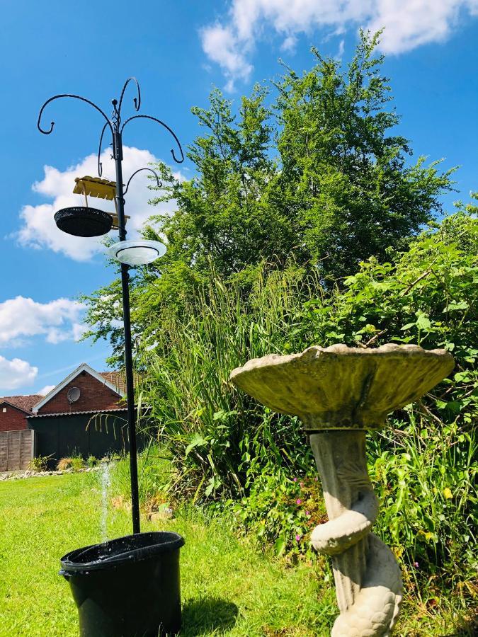 Homestay Amazing Quiet Garden House Near London Luton Airport